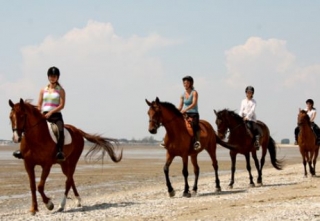  Equitación Charente Maritime 